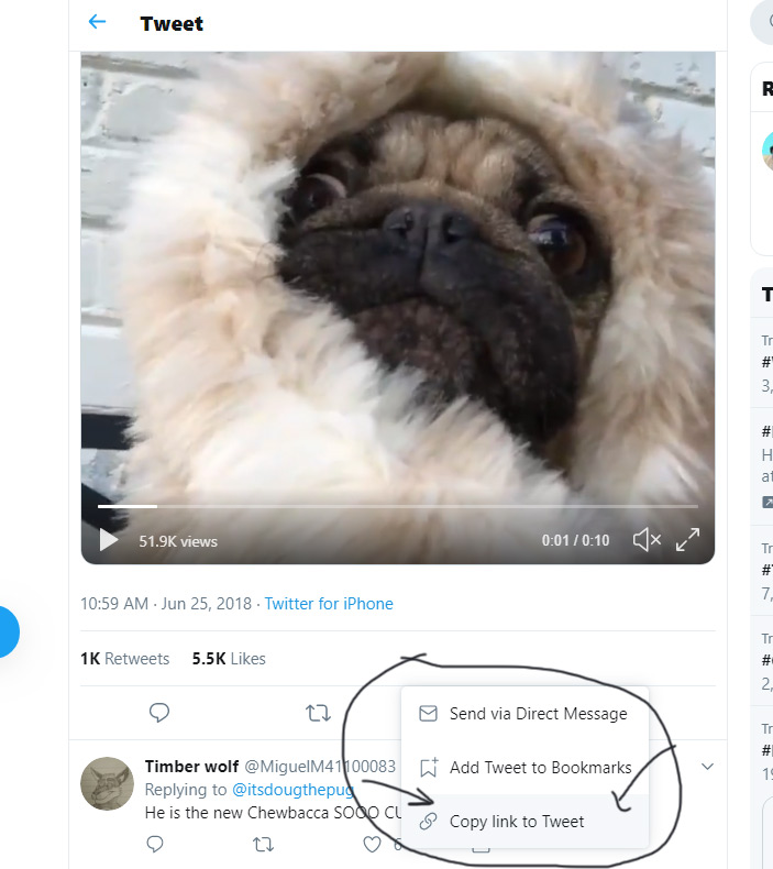 twitter video download