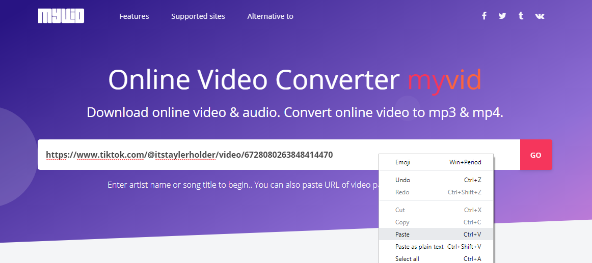 tiktok link to video converter